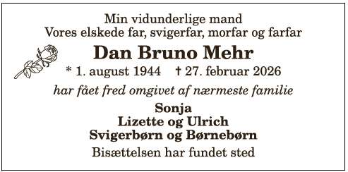 Dan Bruno Mehr - 1210403621