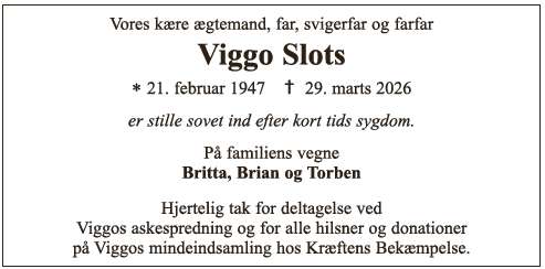 Viggo Slots